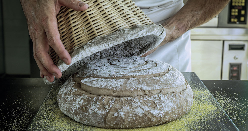 équipement du laboratoire d’une boulangerie